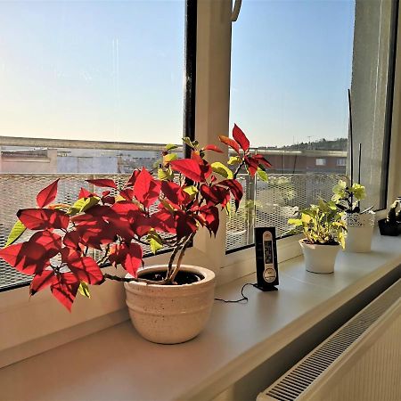 New Apartment With Garage Parking Brno Luaran gambar